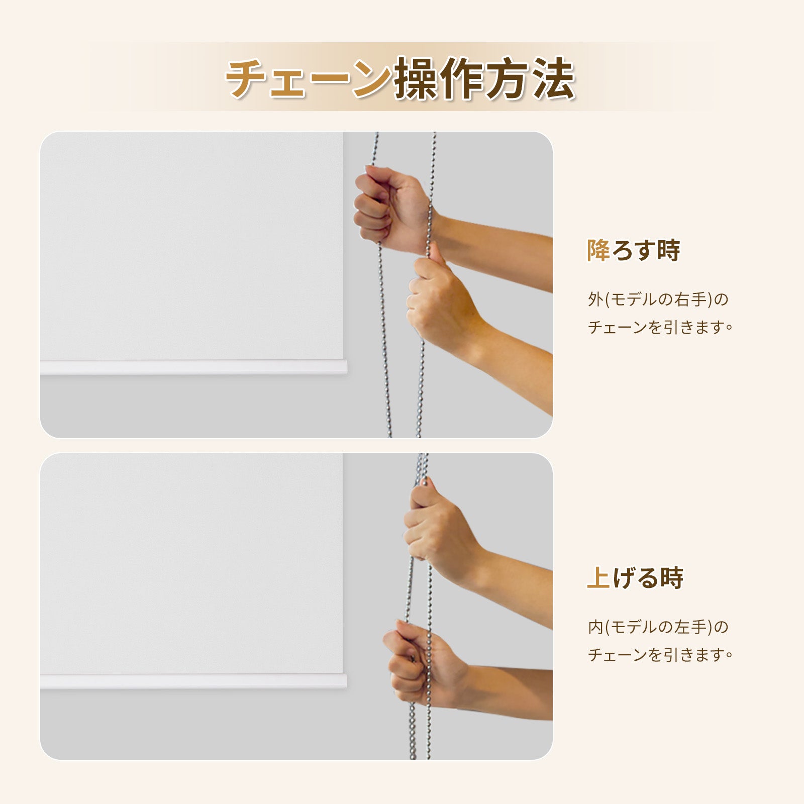 ロールスクリーン チェーン式 ボックス型 - Grandekor