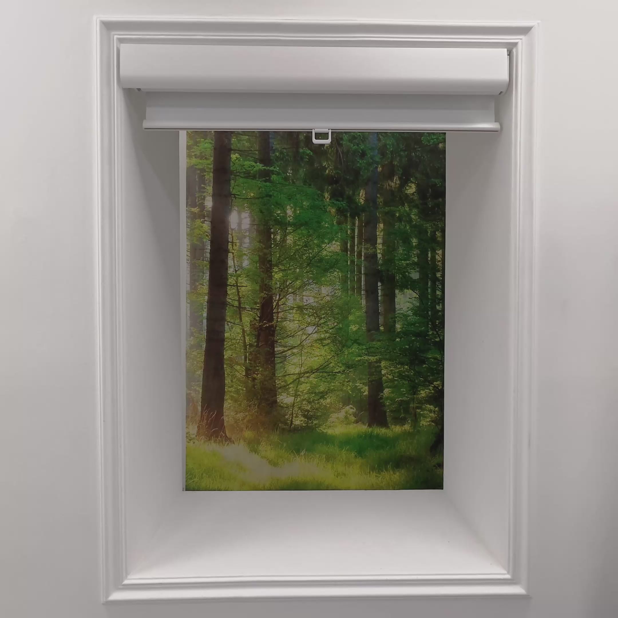 Load video: ロールスクリーン コードレス式 つっぱり式