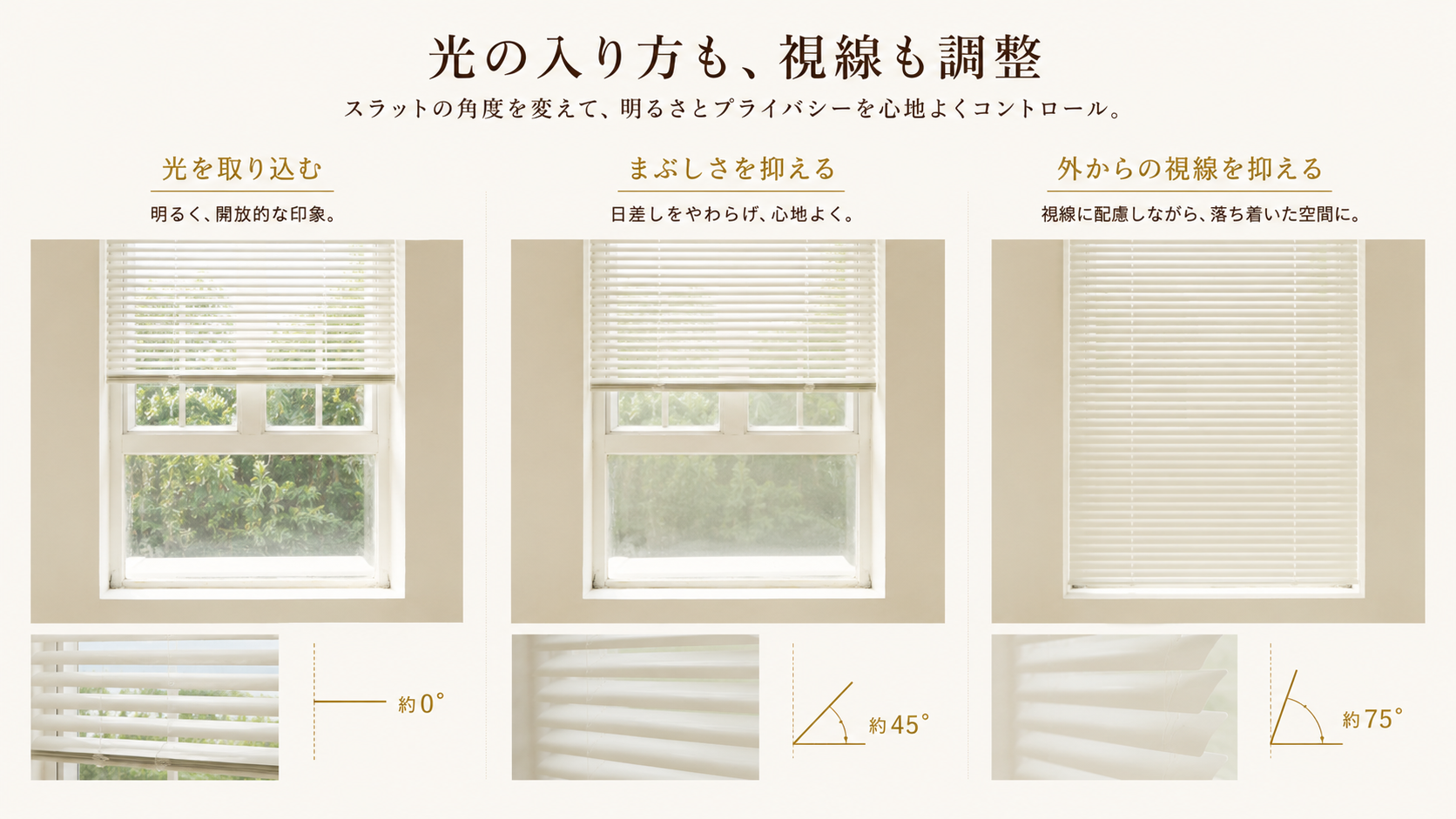 Grandekorの商品画像